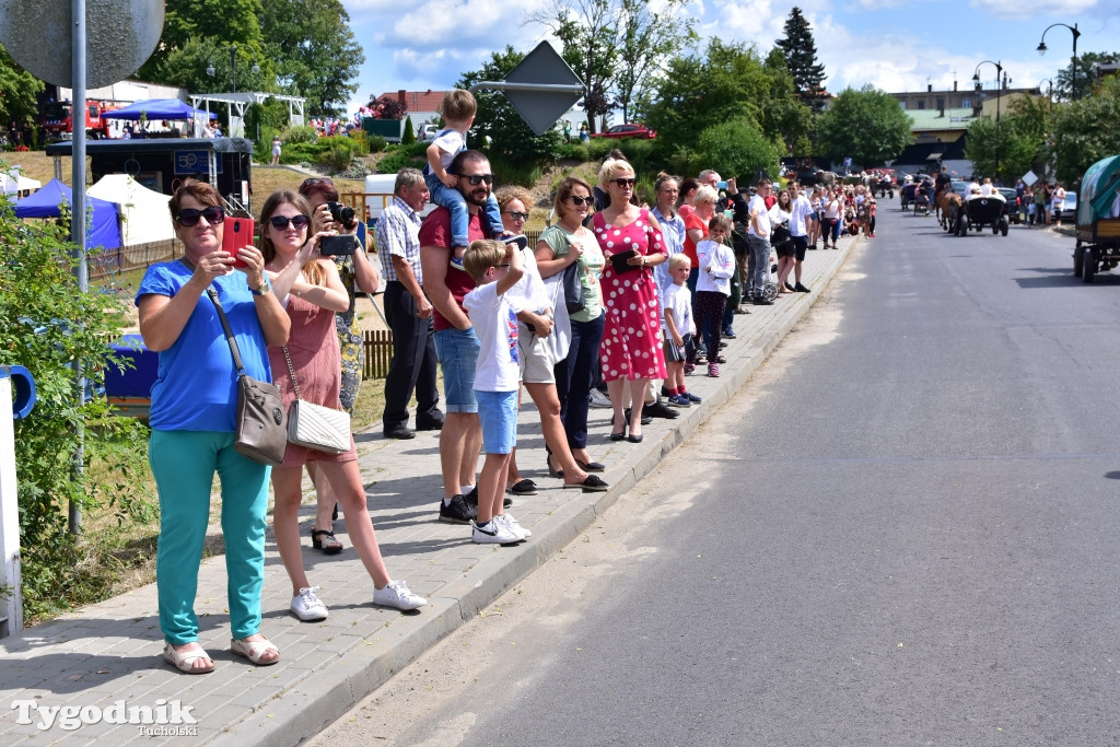 Śliwice: Piknik Koniarzy 2019
