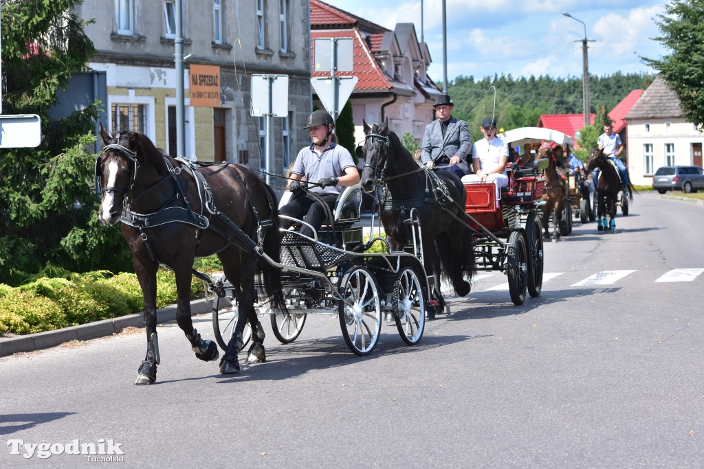 Śliwice: Piknik Koniarzy 2019