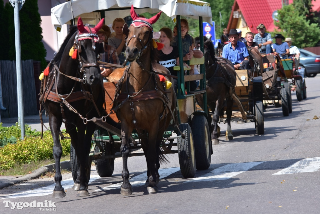 Śliwice: Piknik Koniarzy 2019