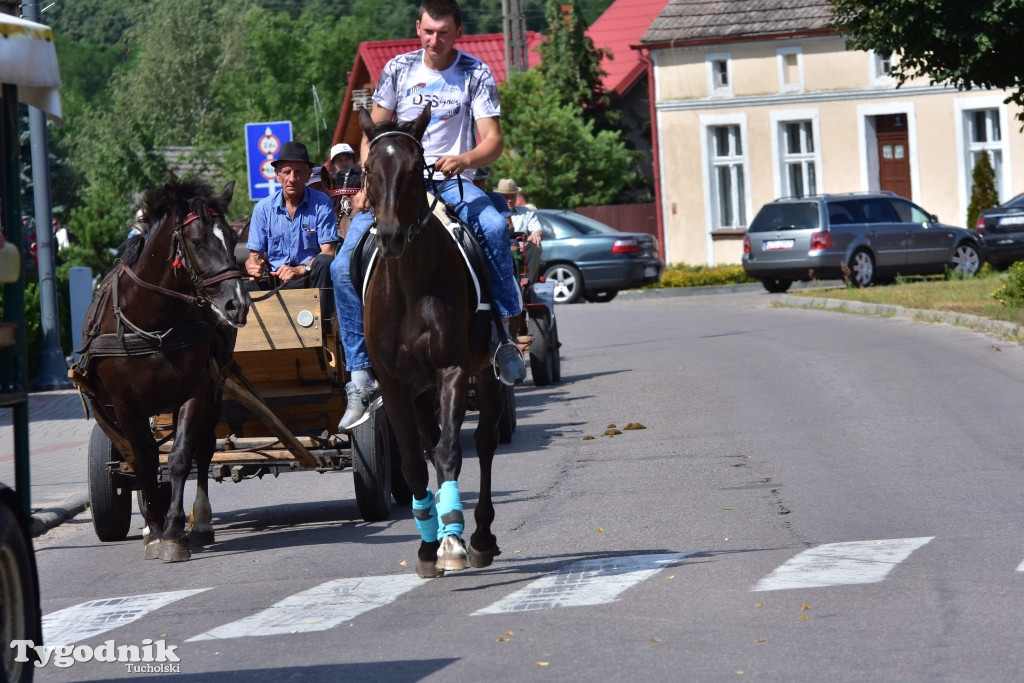 Śliwice: Piknik Koniarzy 2019
