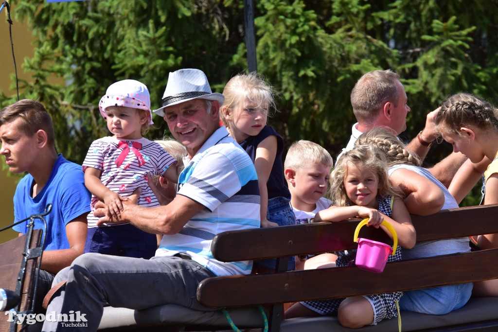 Śliwice: Piknik Koniarzy 2019
