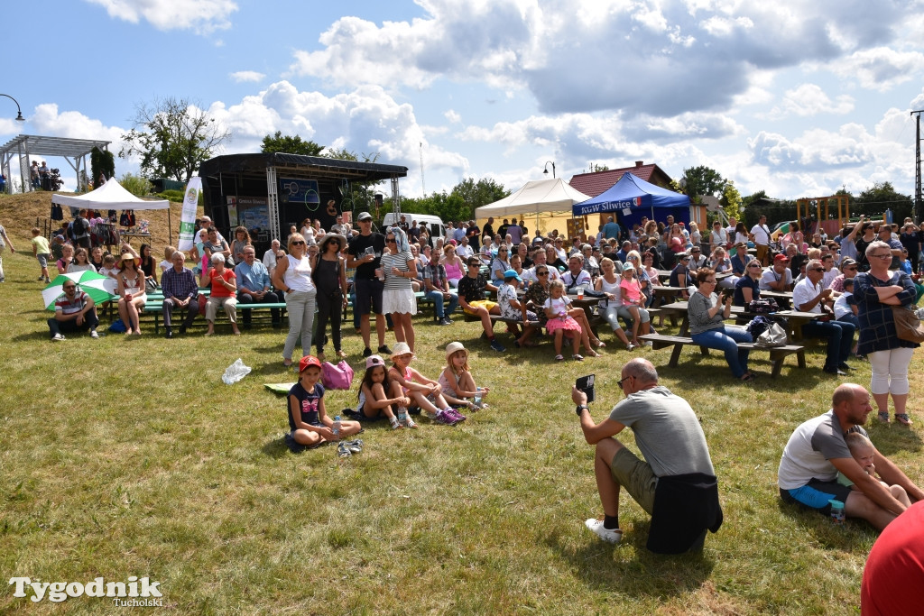 Śliwice: Piknik Koniarzy 2019