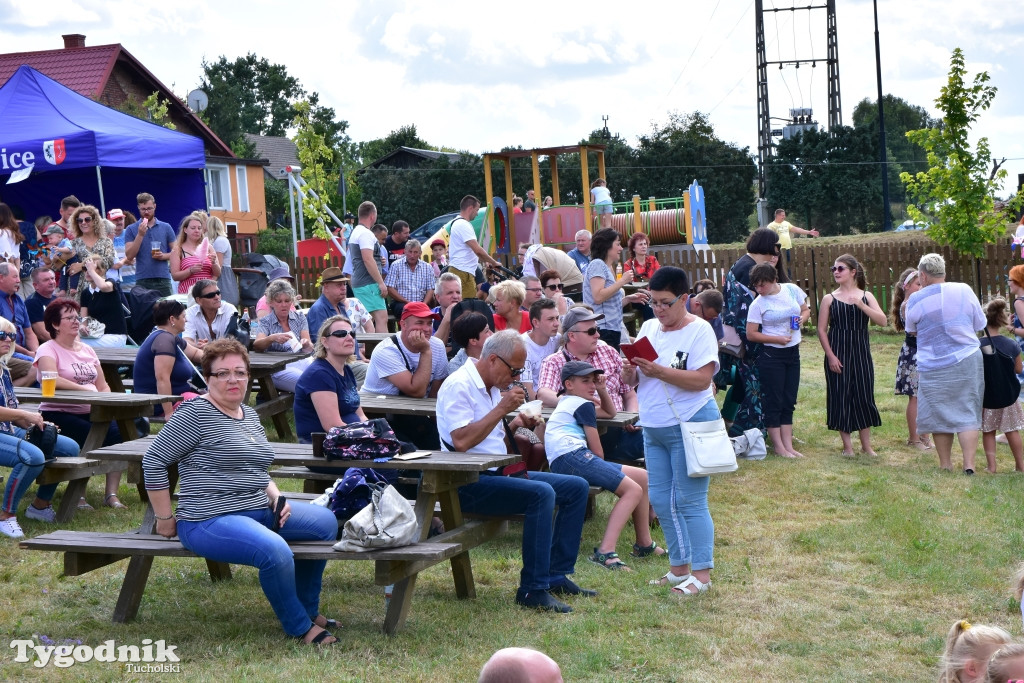 Śliwice: Piknik Koniarzy 2019