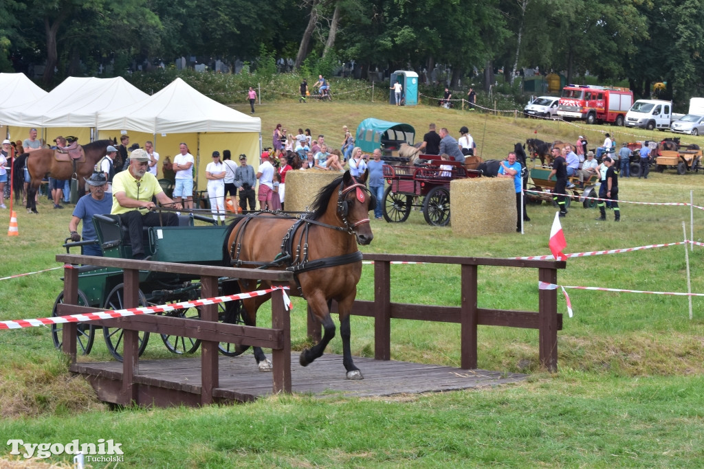 Śliwice: Piknik Koniarzy 2019