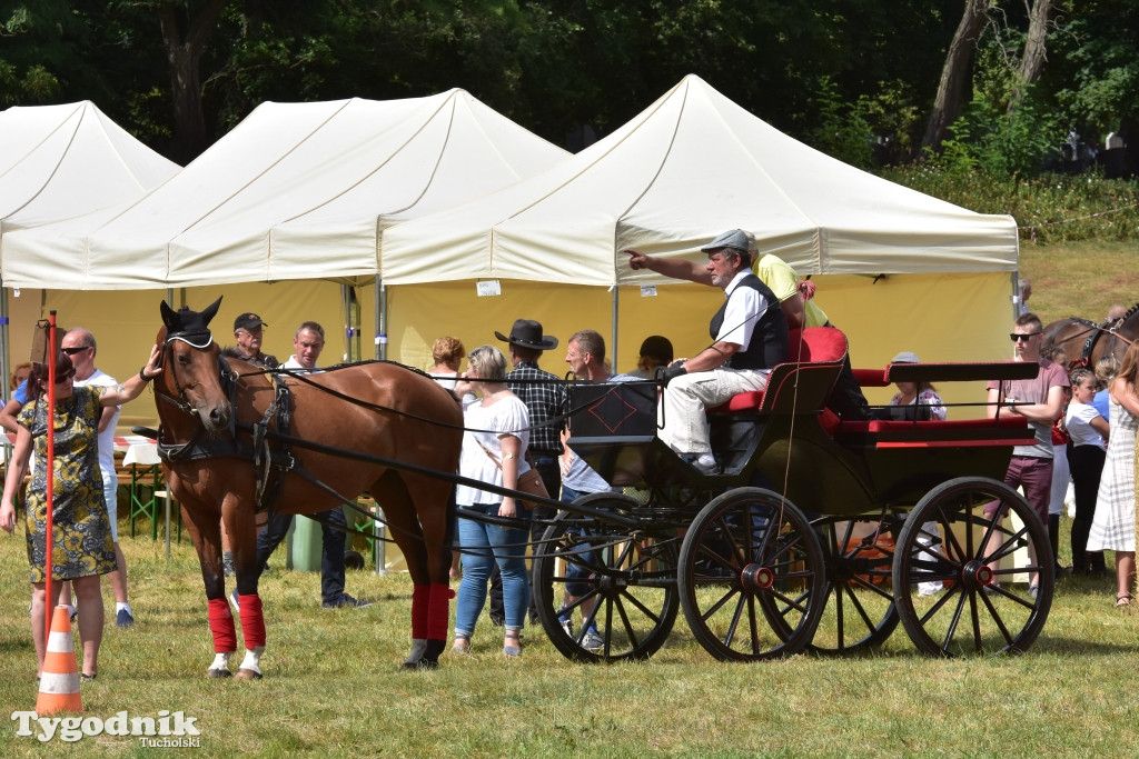 Śliwice: Piknik Koniarzy 2019