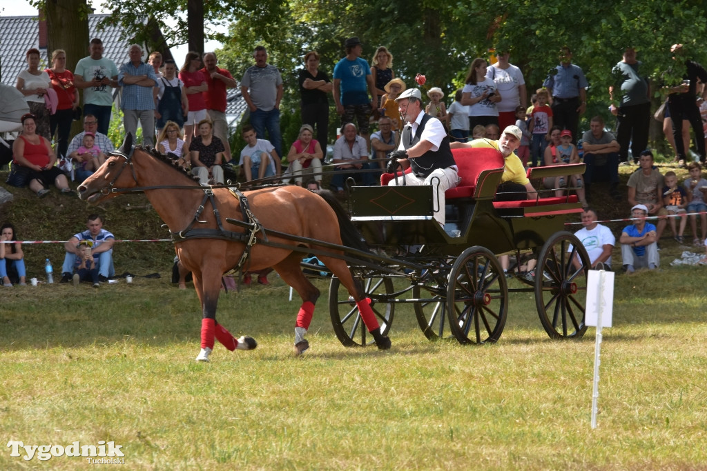 Śliwice: Piknik Koniarzy 2019