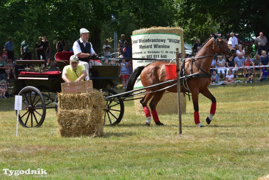 Śliwice: Piknik Koniarzy 2019