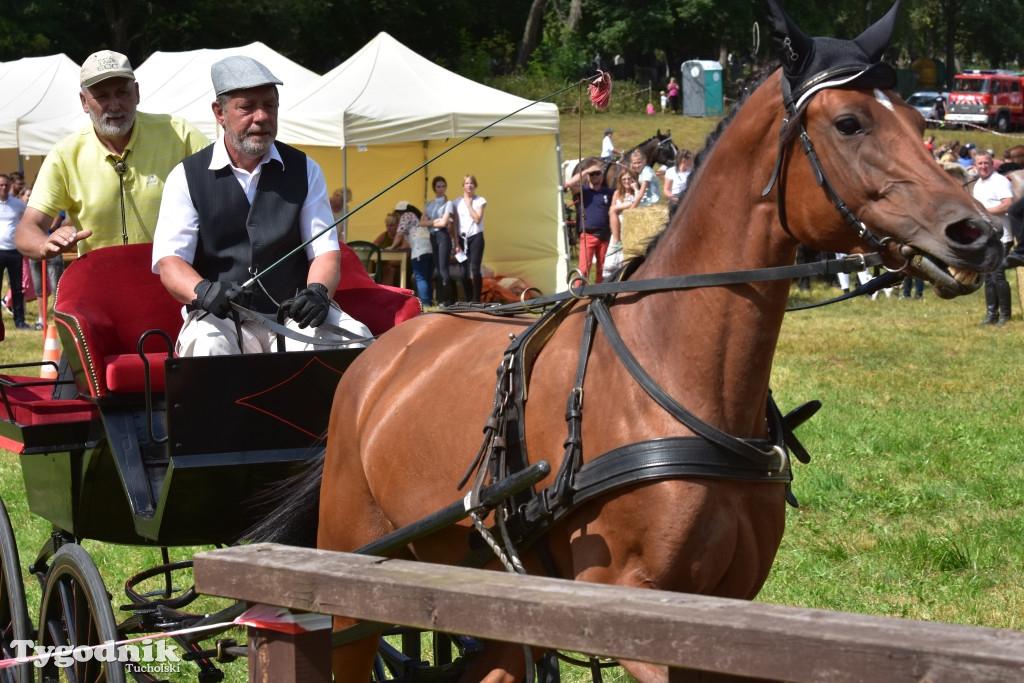 Śliwice: Piknik Koniarzy 2019