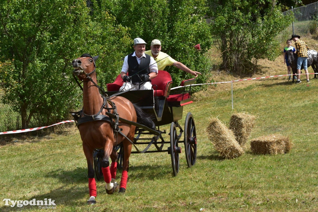 Śliwice: Piknik Koniarzy 2019