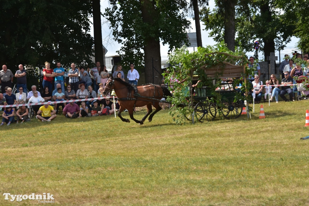 Śliwice: Piknik Koniarzy 2019
