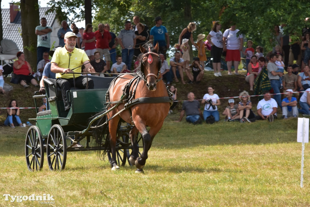 Śliwice: Piknik Koniarzy 2019