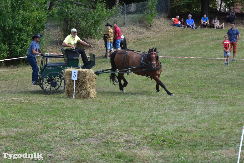 Śliwice: Piknik Koniarzy 2019