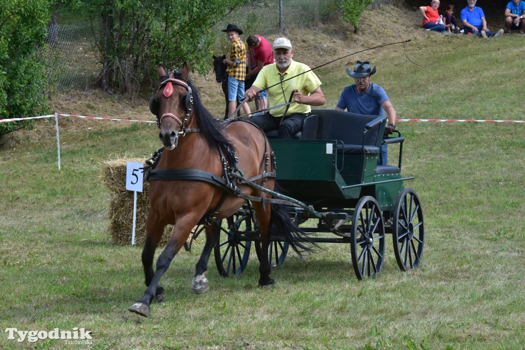 Śliwice: Piknik Koniarzy 2019