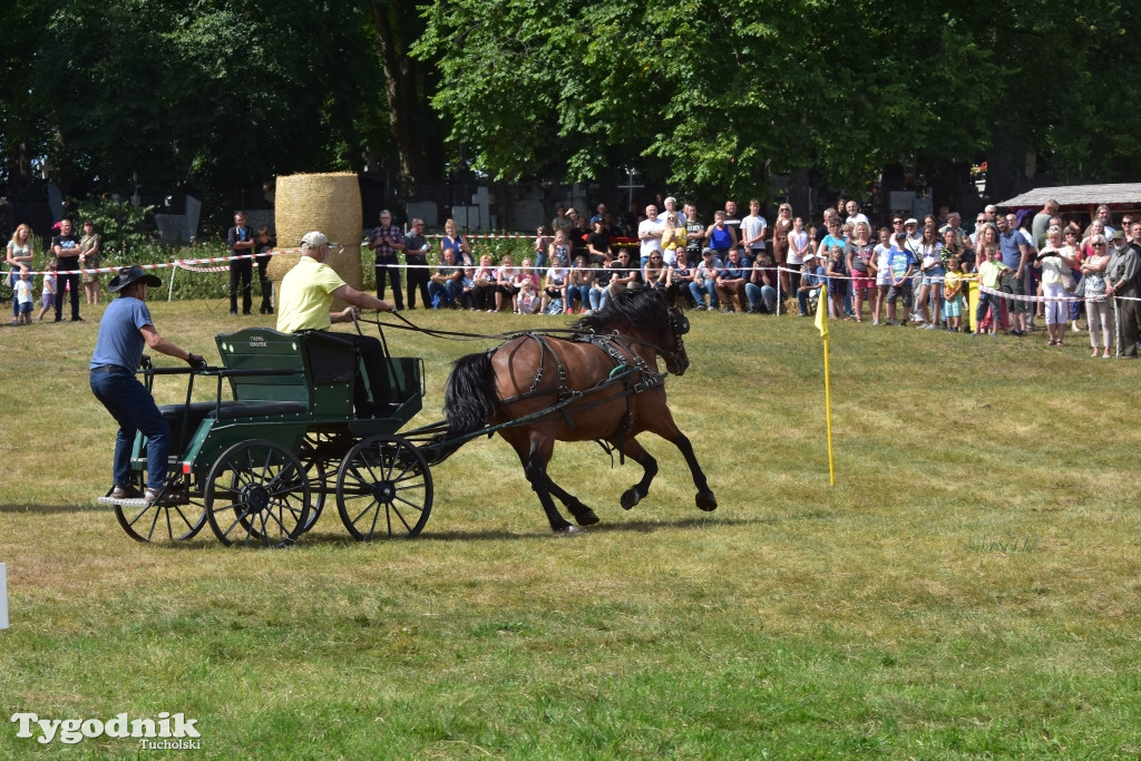 Śliwice: Piknik Koniarzy 2019