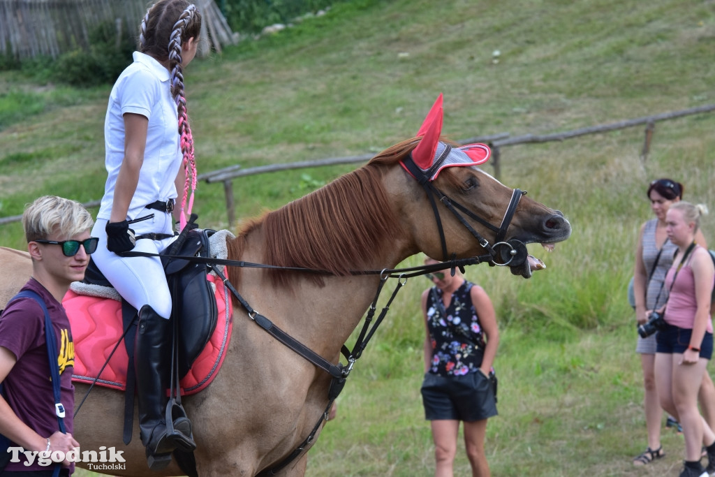 Śliwice: Piknik Koniarzy 2019