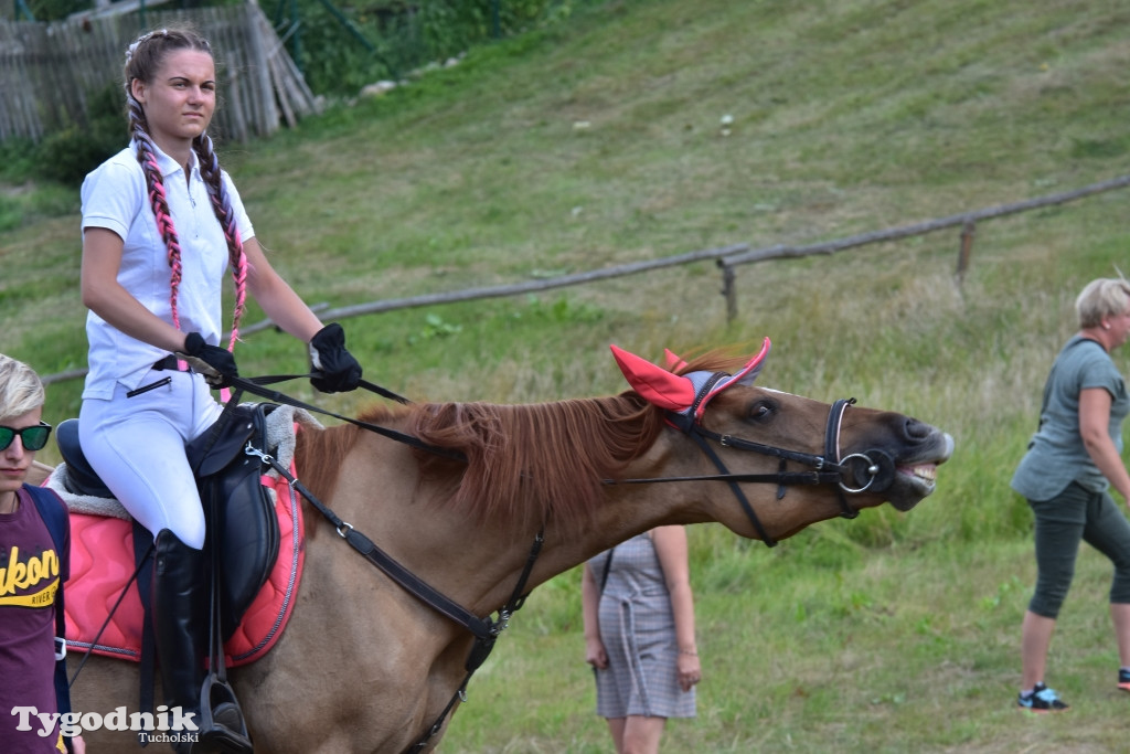 Śliwice: Piknik Koniarzy 2019