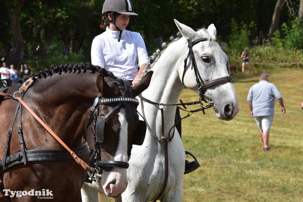 Śliwice: Piknik Koniarzy 2019
