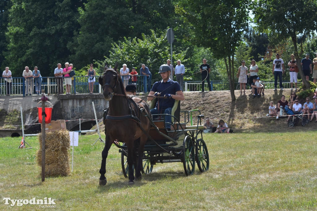 Śliwice: Piknik Koniarzy 2019