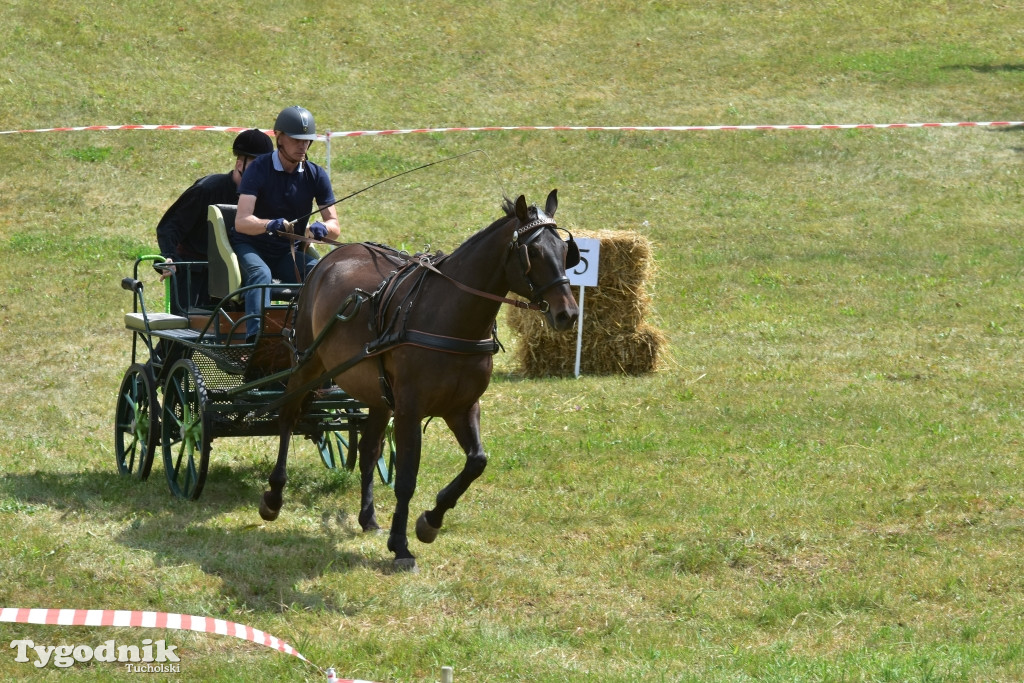 Śliwice: Piknik Koniarzy 2019