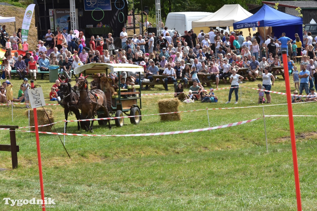 Śliwice: Piknik Koniarzy 2019