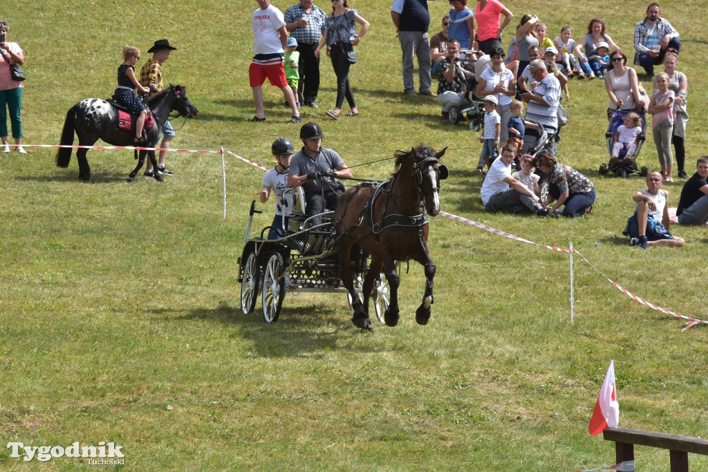 Śliwice: Piknik Koniarzy 2019