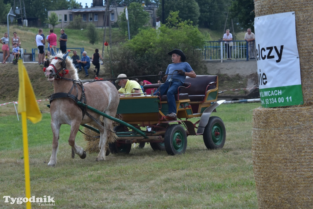 Śliwice: Piknik Koniarzy 2019