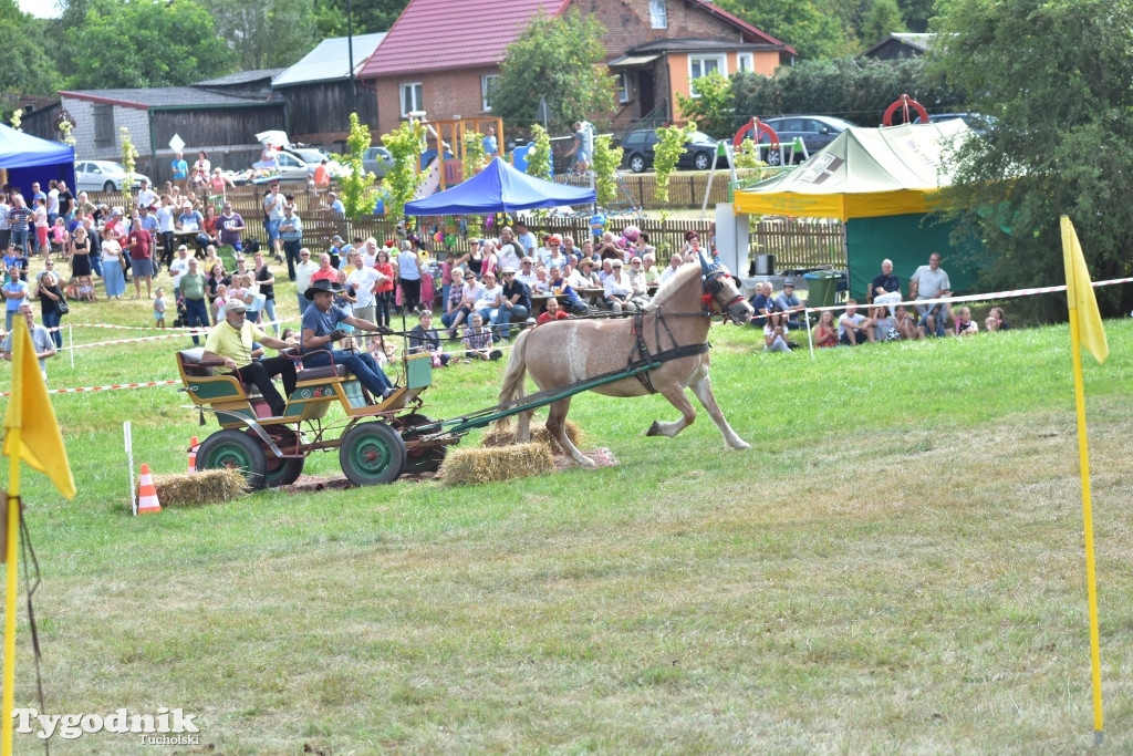 Śliwice: Piknik Koniarzy 2019