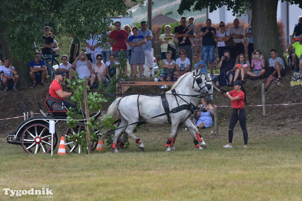 Śliwice: Piknik Koniarzy 2019