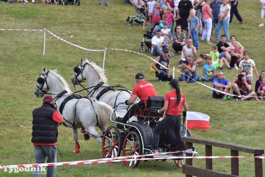 Śliwice: Piknik Koniarzy 2019