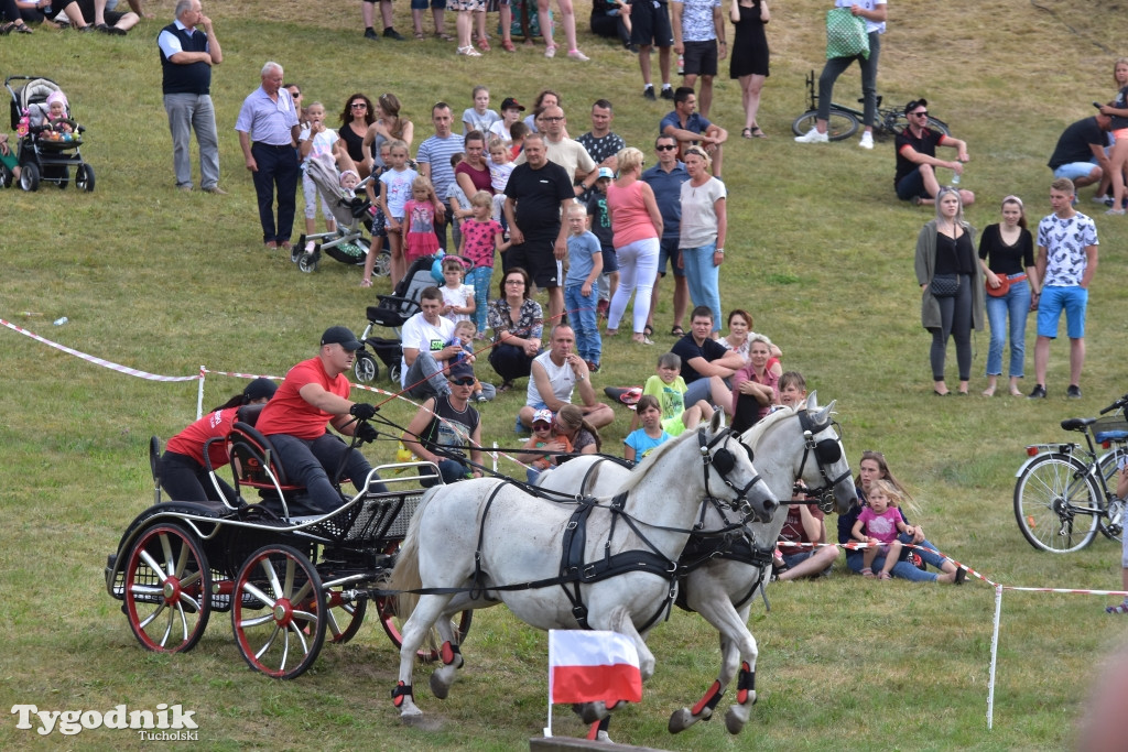 Śliwice: Piknik Koniarzy 2019