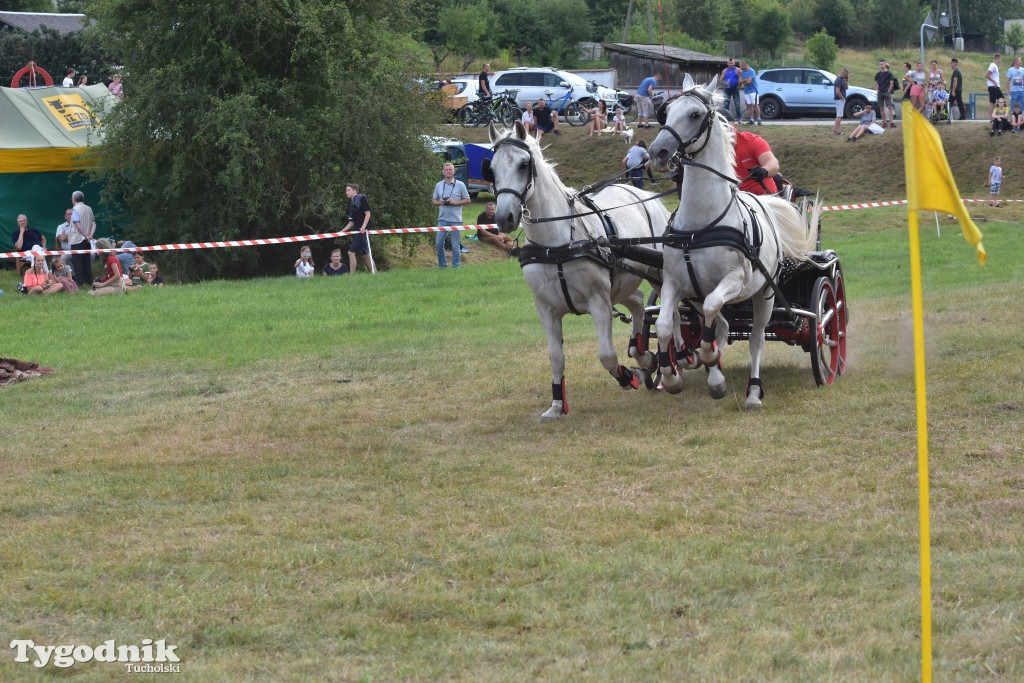 Śliwice: Piknik Koniarzy 2019