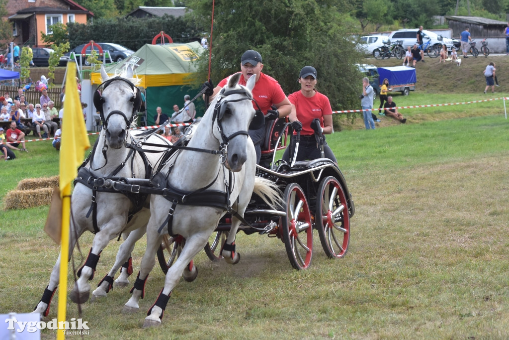 Śliwice: Piknik Koniarzy 2019