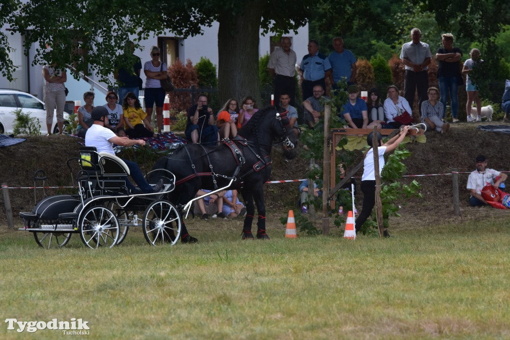 Śliwice: Piknik Koniarzy 2019