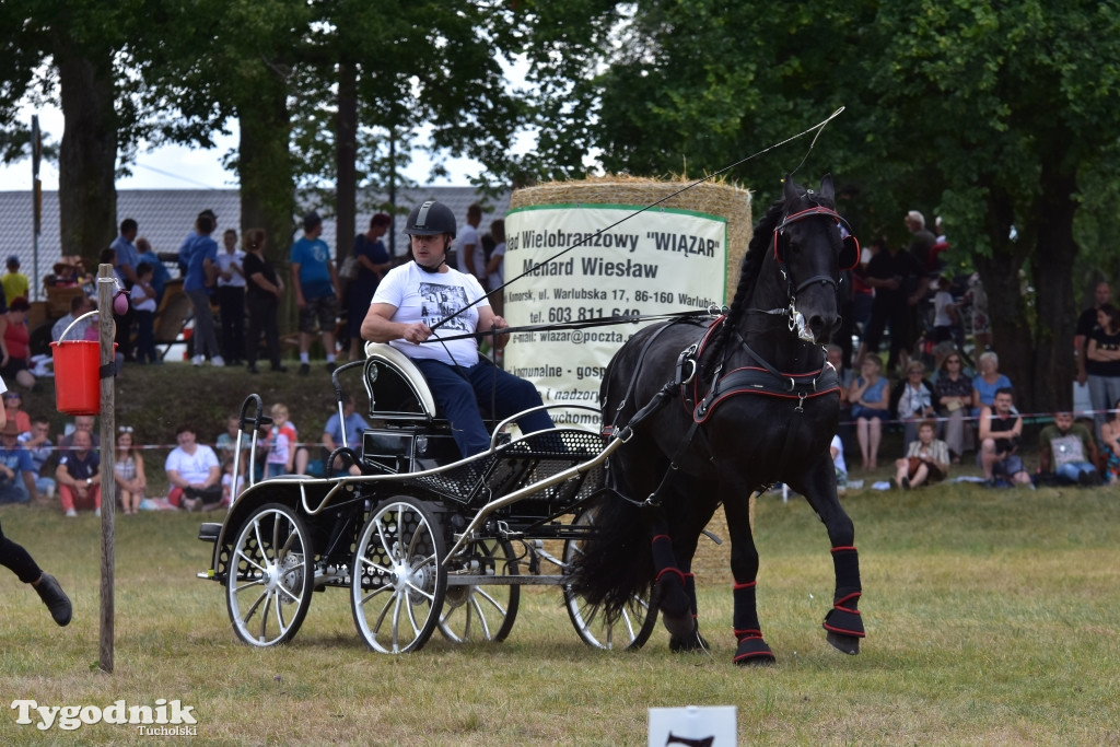 Śliwice: Piknik Koniarzy 2019