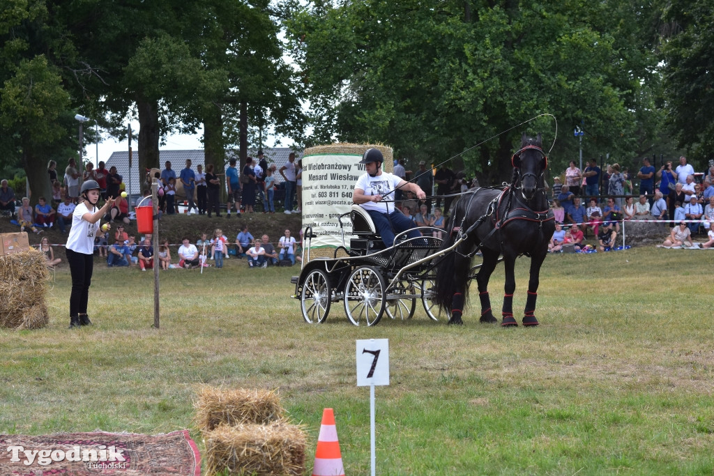 Śliwice: Piknik Koniarzy 2019