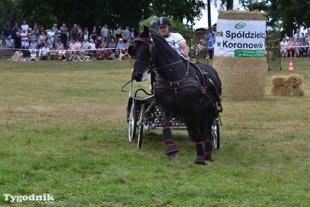 Śliwice: Piknik Koniarzy 2019