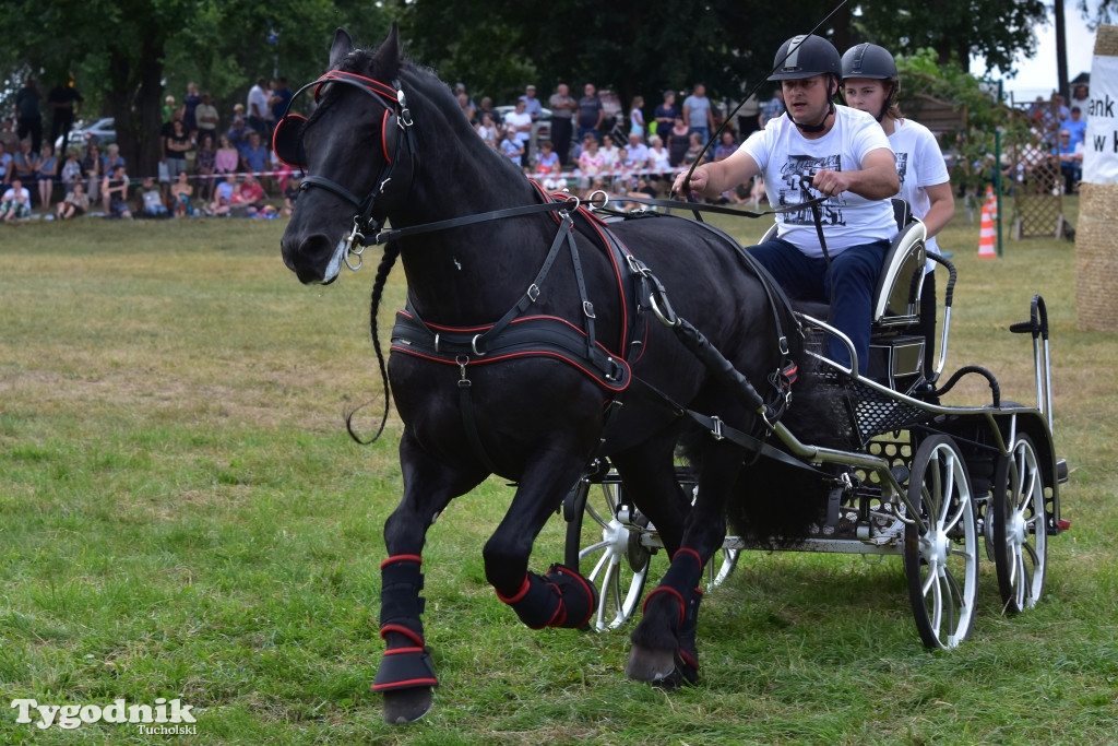 Śliwice: Piknik Koniarzy 2019
