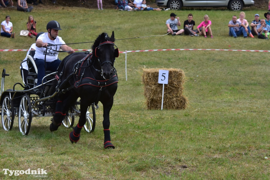 Śliwice: Piknik Koniarzy 2019