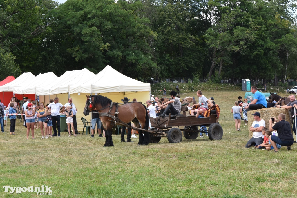Śliwice: Piknik Koniarzy 2019