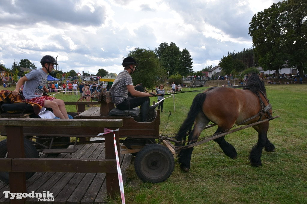 Śliwice: Piknik Koniarzy 2019