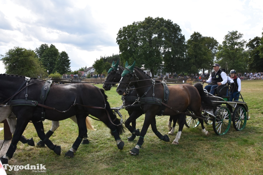 Śliwice: Piknik Koniarzy 2019