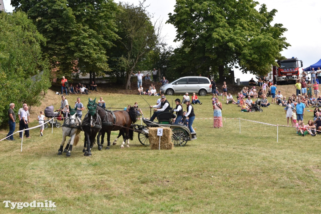 Śliwice: Piknik Koniarzy 2019