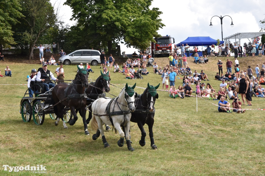 Śliwice: Piknik Koniarzy 2019