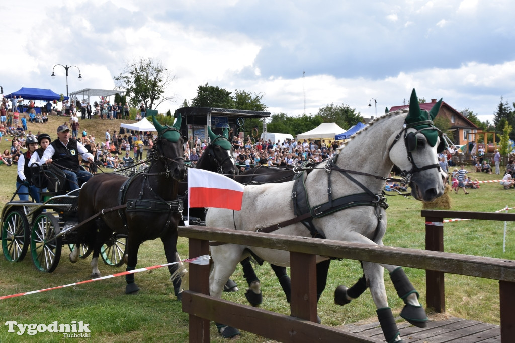 Śliwice: Piknik Koniarzy 2019