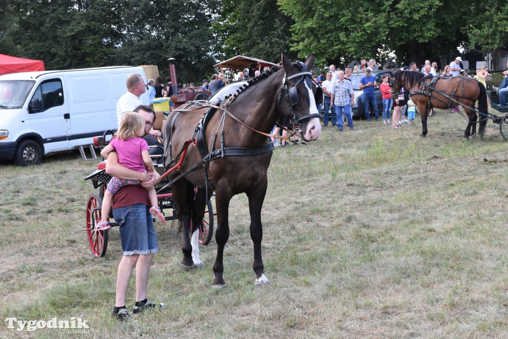 Śliwice: Piknik Koniarzy 2019