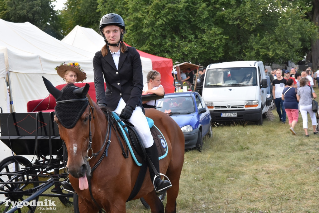 Śliwice: Piknik Koniarzy 2019