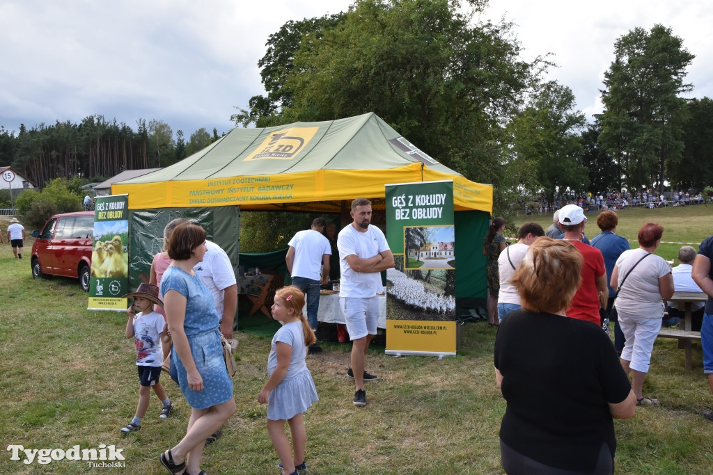Śliwice: Piknik Koniarzy 2019