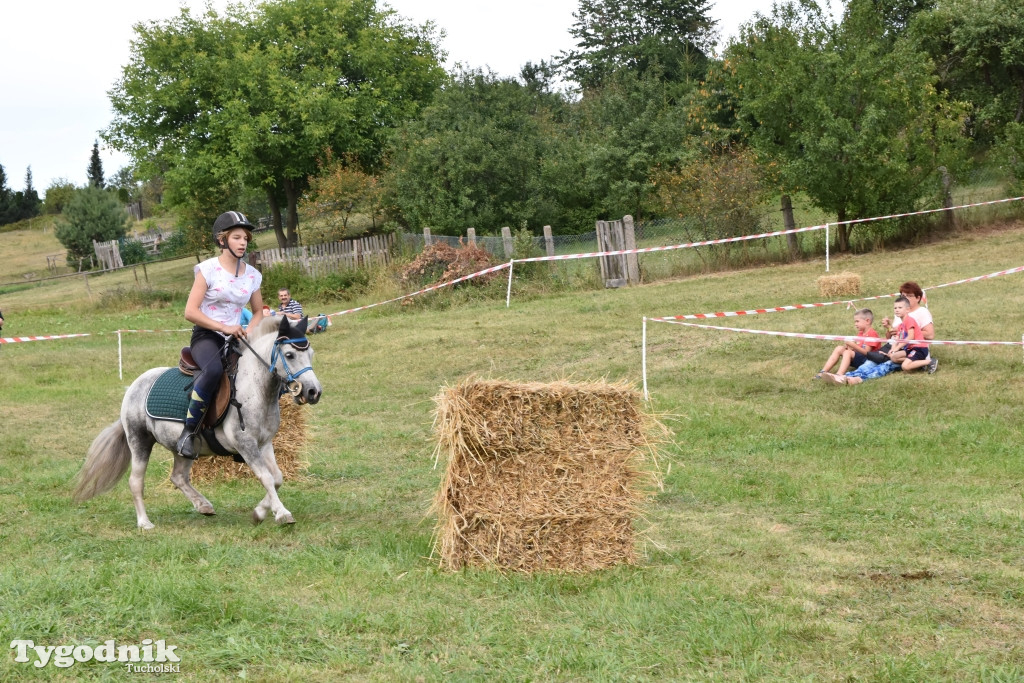 Śliwice: Piknik Koniarzy 2019