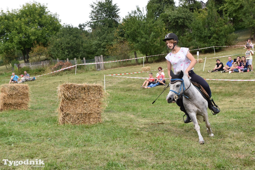 Śliwice: Piknik Koniarzy 2019