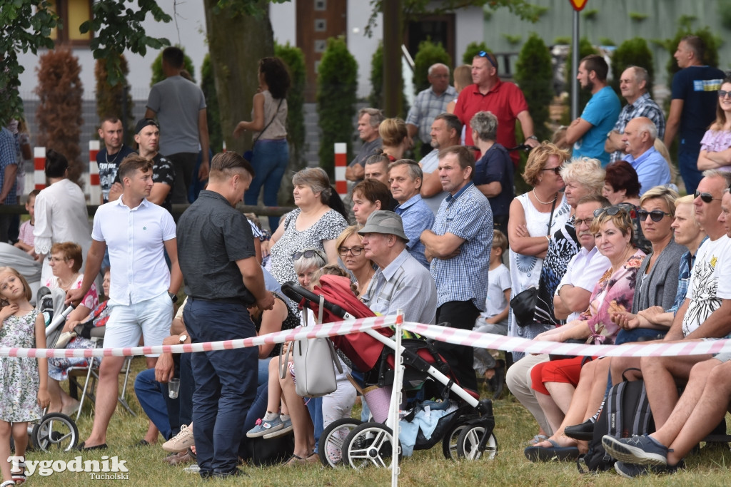 Śliwice: Piknik Koniarzy 2019